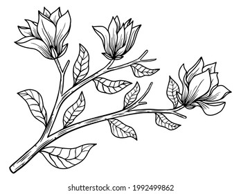 Hand drawn flower sketch line art illustration set.