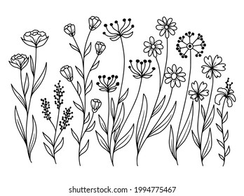 Hand drawn flower sketch line art illustration set.