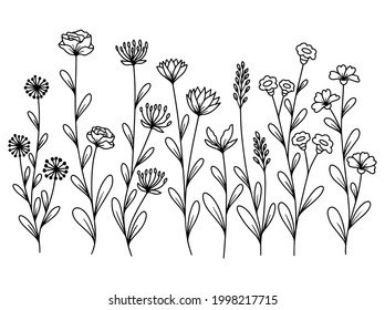 Hand drawn flower sketch line art illustration set.