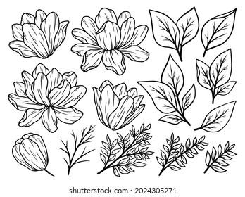 Hand drawn flower sketch line art illustration set.