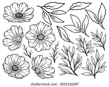 Hand drawn flower sketch line art illustration set.
