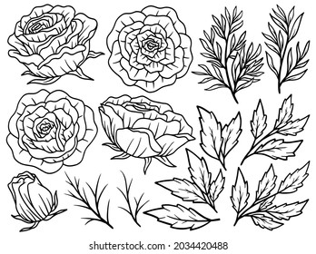 Hand drawn flower sketch line art illustration set.