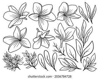 Hand drawn flower sketch line art illustration set.