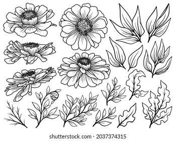 Hand drawn flower sketch line art illustration set. svg