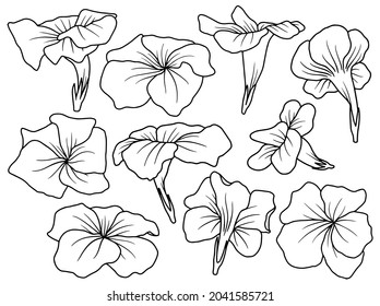 Hand drawn flower sketch line art illustration set.