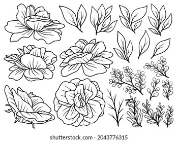 Hand drawn flower sketch line art illustration set.