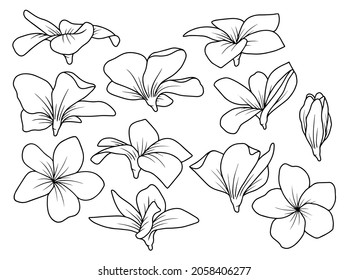 Hand drawn flower sketch line art illustration set. svg