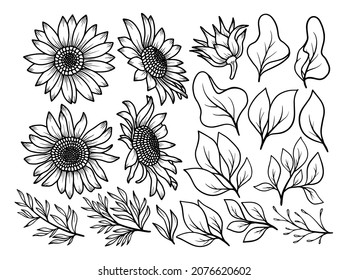 Hand drawn flower sketch line art illustration set