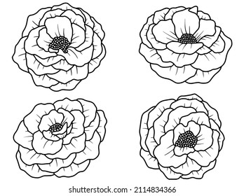 Hand drawn flower sketch line art illustration