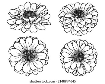Hand drawn flower sketch line art illustration
