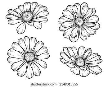 Hand Drawn Flower Sketch Line Art Stock Vector (Royalty Free ...