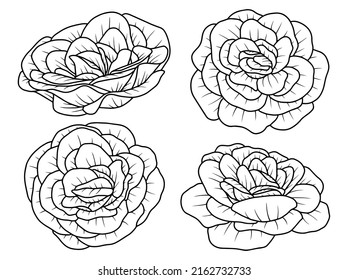 Hand drawn flower sketch line art illustration