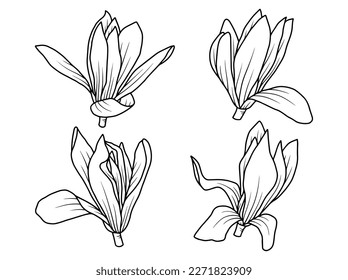 Hand drawn flower sketch line art illustration set