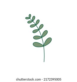 Hand drawn flower template vector