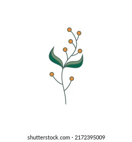 Vector de plantilla de flor dibujado a mano