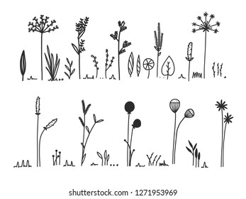 Hand drawn of flower and tree doodle set on white background. Vector illustration design for wedding, logo, templates, invitation and valentine day concept.