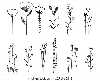 Hand drawn of flower and tree doodle set on white background. Vector illustration design for wedding, logo, templates, invitation and valentine day concept.