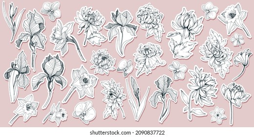 Hand Drawn flower and tree illustration sticker bundle