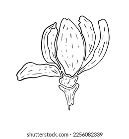 Obra artística de vector floral dibujada a mano. página del libro de colorear, concepto monocromo de arte de línea para invitación a boda, tarjeta, boleto.