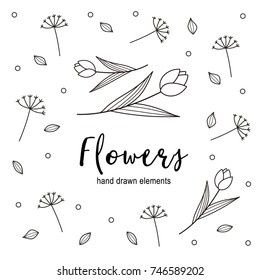 Hand drawn flower vector elements 