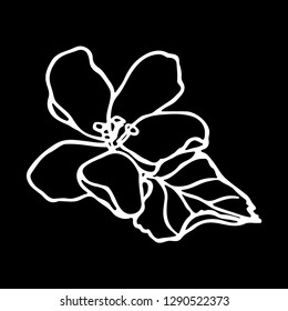Hand drawn flower vector illustration. Apple tree flower. Floral background. Hand drawn vector botanical illustration. Template greeting card, wedding invitation banner with spring flowers. 