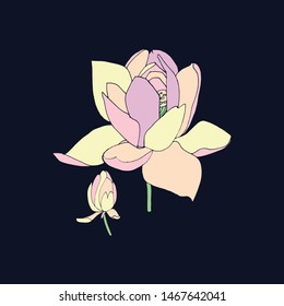 Hand drawn flower vector illustration. Colorful print for greeting card, t-shirt and pattern design