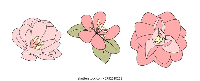 Flor dibujada a mano. EPS10 de ilustración vectorial