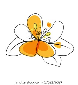 Hand drawn flower. Vector Illustration EPS10
