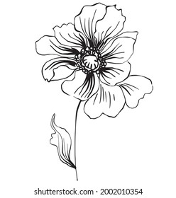 Flor dibujada a mano. Ilustración vectorial.