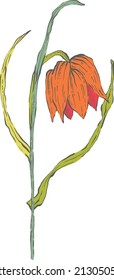Hand Drawn Flower - Vector Illustration with dark line and color, for wedding invitations, cards, frames, posters, packing.