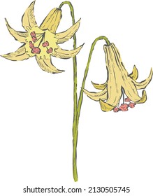 Hand Drawn Flower - Vector Illustration with dark line and color, for wedding invitations, cards, frames, posters, packing.