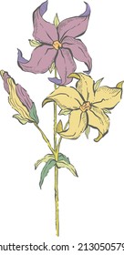 Hand Drawn Flower - Vector Illustration with dark line and color, for wedding invitations, cards, frames, posters, packing.