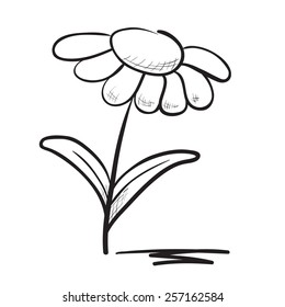 Hand drawn flower vector  illustration