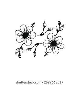 Hand Drawn Flower Vector Illustration