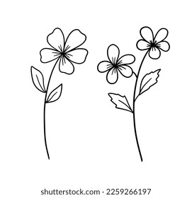 Hand drawn flower. Vector outline sketch. Line art doodle isolated on white background