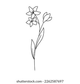 Hand drawn flower. Vector outline sketch. Line art doodle isolated on white background