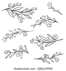 Ramas floridas dibujadas a mano. Elementos de diseño floral en blanco y negro. Plantas y ramas florecientes. Imagen vectorial. 