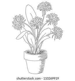 Hand drawn flowers