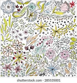 hand drawn flowers
