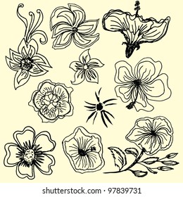 hand drawn flowers