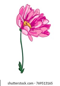 Hand Drawn Flowers, Beautiful Decorative Flower, Element for design, Sketch.
