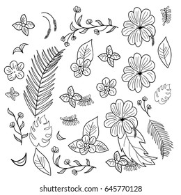 Hand drawn flowers and branches and leaves of tropical plants.