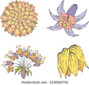 Hand Drawn Flowers in bright spring colors, for wedding invitations, cards, frames, posters, packing.