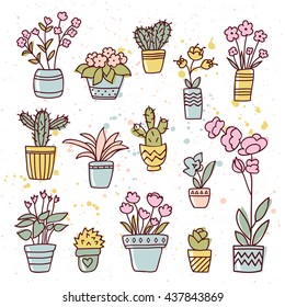 Hand drawn flowers and cactus in the pots. Vector set of plants and succulents. House plants collection.