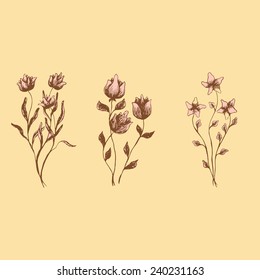 Hand drawn flowers collection. Elements for your geeting design. Vector sketch bouquet. 