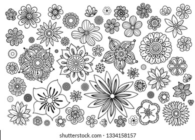 Hand drawn flowers collection. Floral design elements set. Black and white vector illustration in doodles style. Isolated on white background.