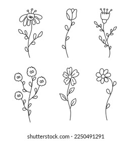 Hand drawn flowers collection in linear style. Set of hand drawn spring flowers. Floral elements isolated on white background. vector illustration