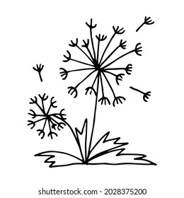 Hand drawn flowers and dandelion seeds in the style of doodle or sketching, design of postcards, cards, posters. Vector graphics.