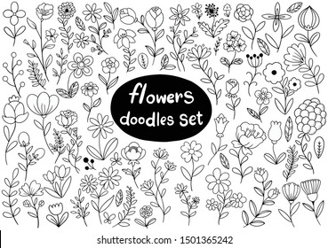 hand drawn flowers doodle Ornaments background pattern Vector illustration