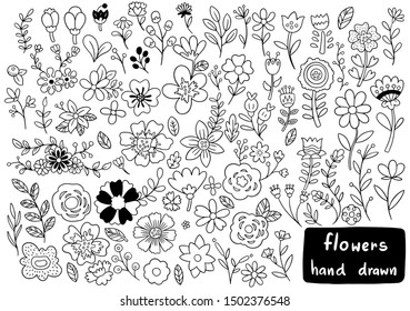 hand drawn flowers doodle Ornaments background pattern Vector illustration